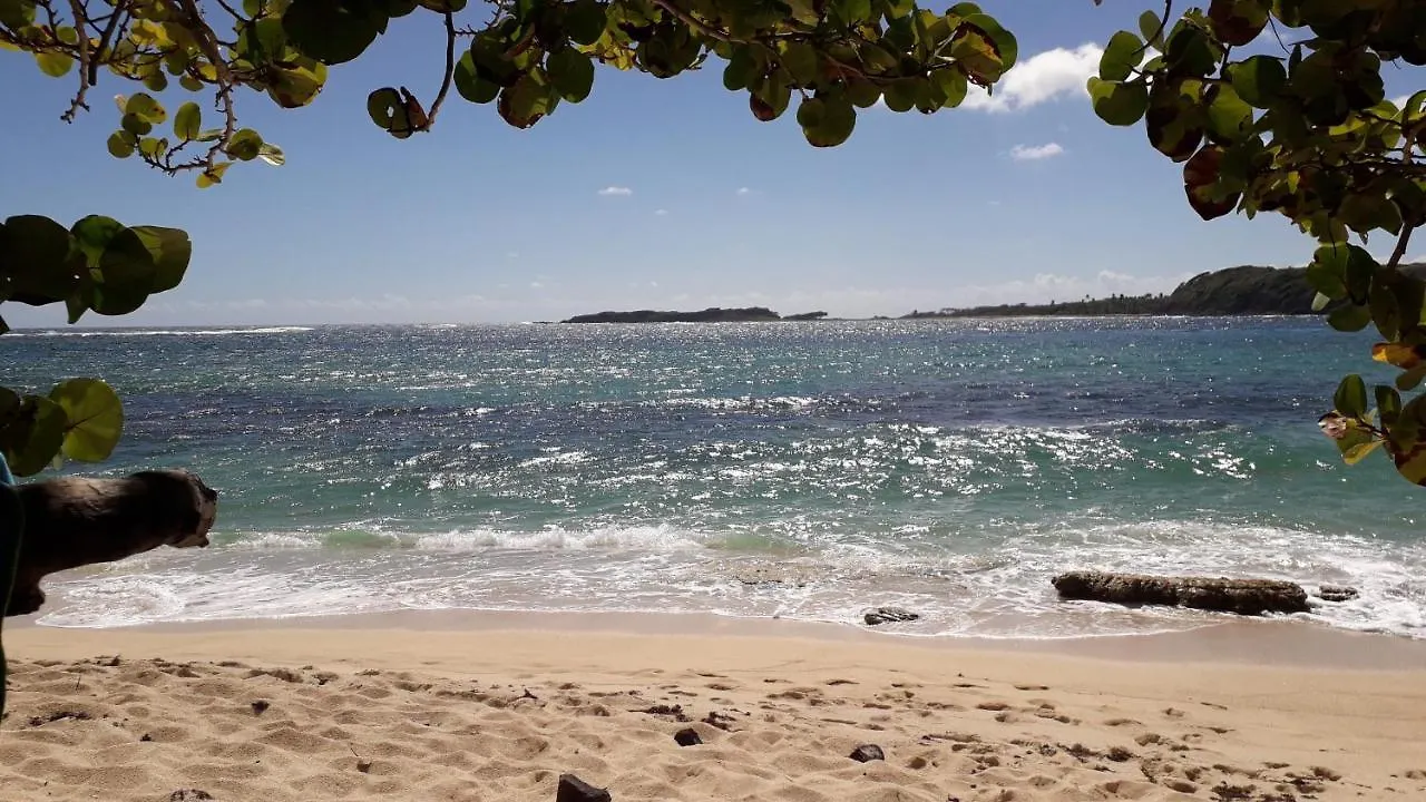 Apartamento Fleur Des Caraibes Sainte-Anne